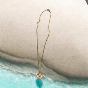 Whispers of the ocean:Pink shell